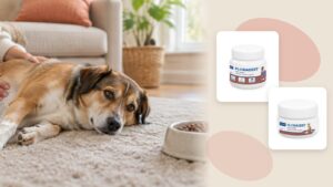 Floragest de Virbac para perros y gatos con heces blandas o digestiones delicadas, comprimidos masticables con prebióticos y postbióticos
