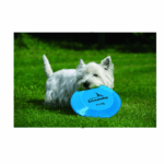 Freedog Freesdog Frisbee Para Perros 23 Cm