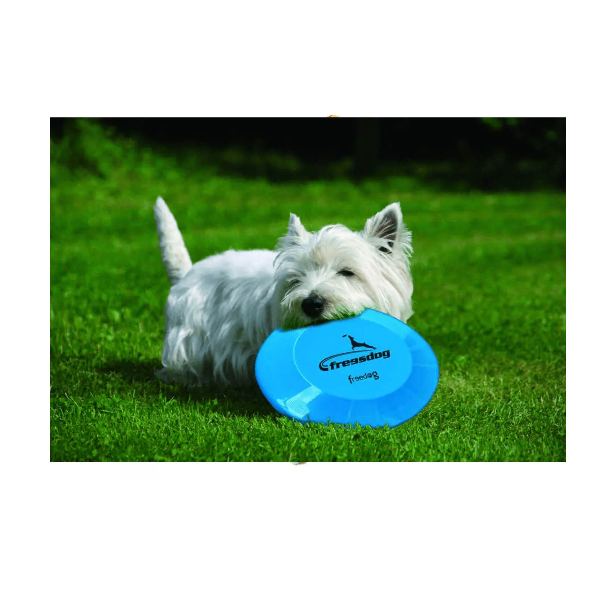 Freedog Freesdog Frisbee Para Perros 23 Cm Freedog Freesdog Frisbee Para Perros 23 Cm