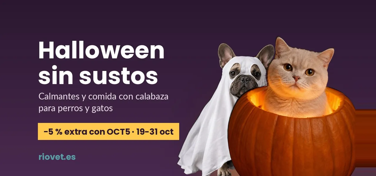 Halloween sin sustos: calmantes y comida con calabaza para perros y gatos, 5 % extra con OCT5