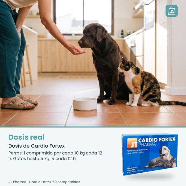 Persona dando un comprimido de Cardio Fortex en la mano a un perro y un gato