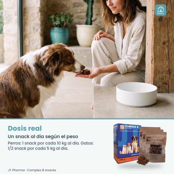 Persona dando un snack de Complex B en la palma de la mano a su perro