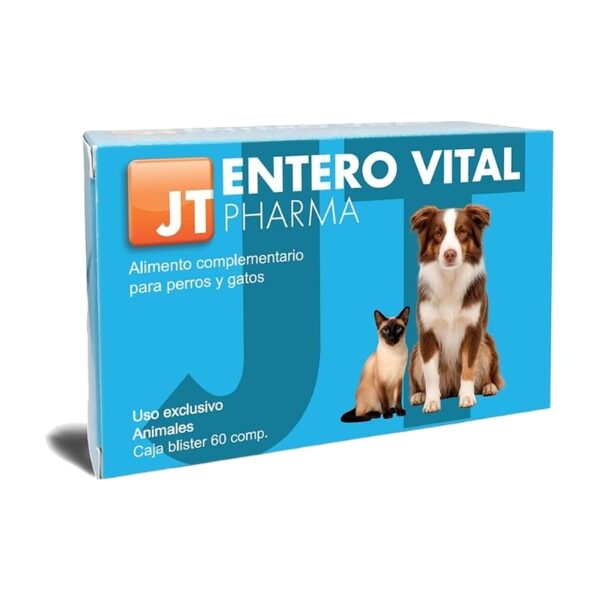 JT Pharma Entero Vital en comprimidos y snacks de salud intestinal para perros y gatos (entero vital 60 comprimidos)