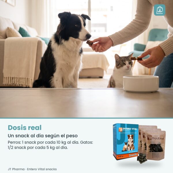 Persona dando un snack de Entero Vital en la palma de la mano a su perro