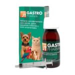 JT Pharma Gastro Pharma jarabe digestivo 55 ml para perros, gatos y exóticos con jeringa (gastro pharma jarabe 55 ml)