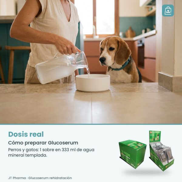 Persona preparando Glucoserum en agua templada y sirviéndolo en el cuenco de un perro