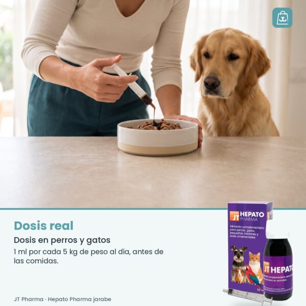 Persona añadiendo Hepato Pharma con jeringa dosificadora a la comida de un perro