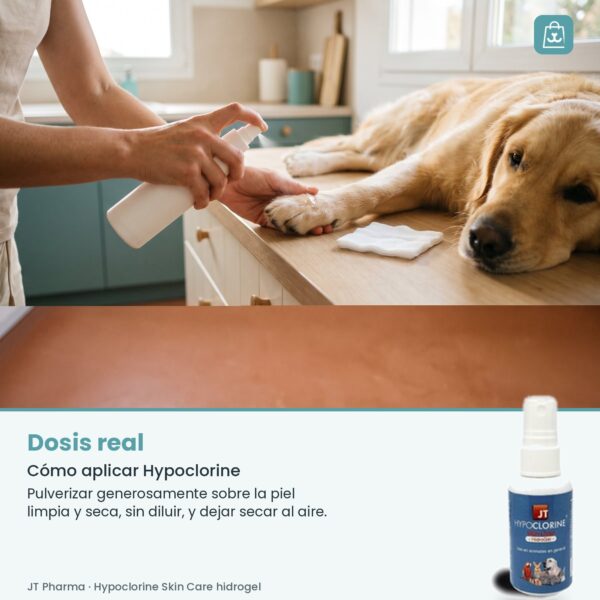 Persona aplicando Hypoclorine hidrogel en spray sobre la pata rasurada de un perro