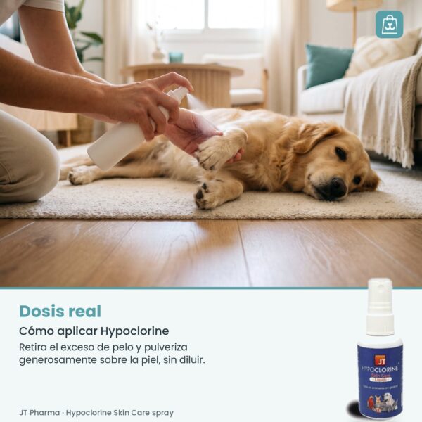 Persona pulverizando Hypoclorine Skin Care sobre la piel de la pata de un perro
