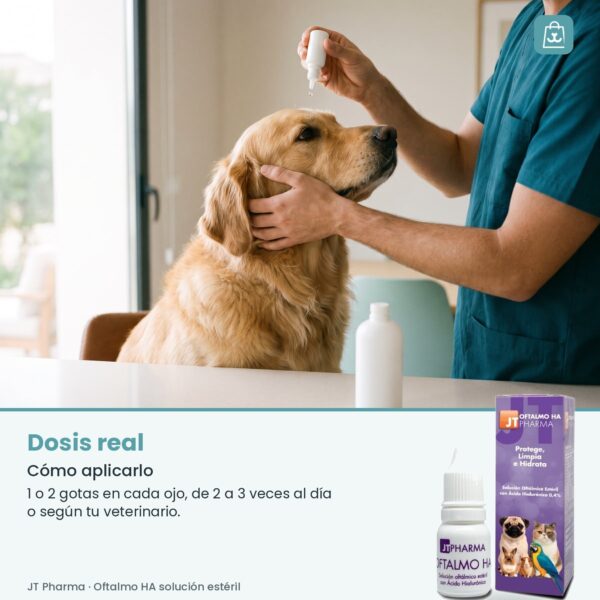 Persona aplicando una gota de Oftalmo HA en el ojo de un perro