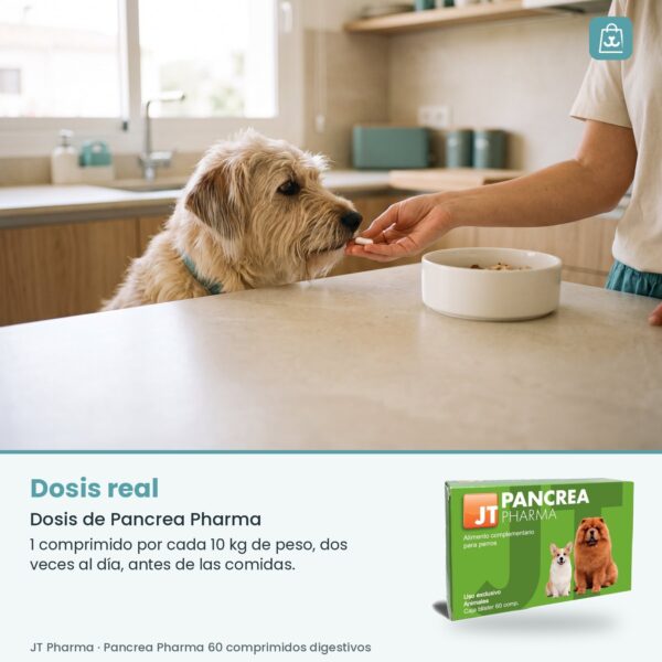 Persona dando un comprimido de Pancrea Pharma en la mano a un perro antes de comer