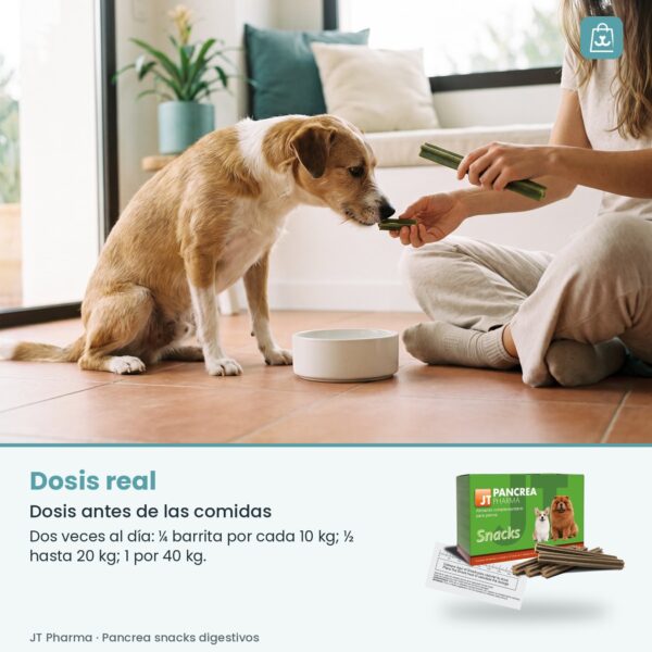 Persona ofreciendo media barrita Pancrea a un perro antes de la comida