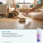 Persona dando Relaxing Pharma gel sobre la comida de un gato junto a un perro