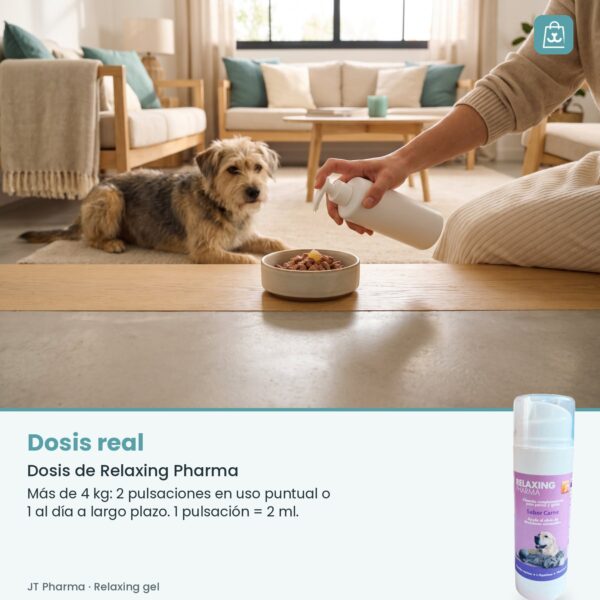 Persona dando Relaxing Pharma gel sobre la comida de un gato junto a un perro