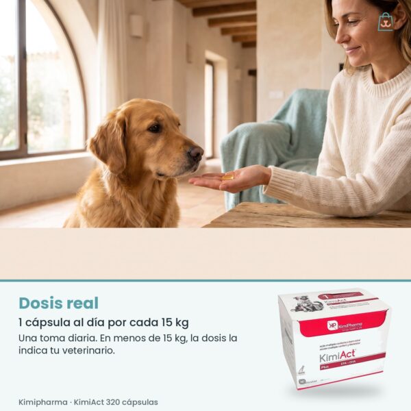 Dosis real de Kimipharma KimiAct 320 cápsulas: 1 cápsula al día por cada 15 kg