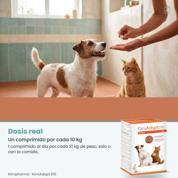 Dosis real de Kimipharma KimiAdapt 105: Un comprimido por cada 10 kg