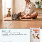 Dosis real de Kimipharma KimiAdapt 35: Un comprimido por cada 3,5 kg