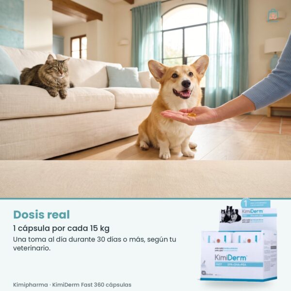 Dosis real de Kimipharma KimiDerm Fast 360 cápsulas: 1 cápsula por cada 15 kg