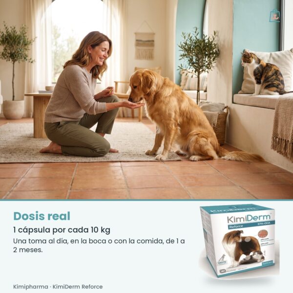 Dosis real de Kimipharma KimiDerm Reforce: 1 cápsula por cada 10 kg