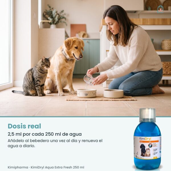 Dosis real de Kimipharma KimiDryl Aqua Extra Fresh 250 ml: 2,5 ml por cada 250 ml de agua