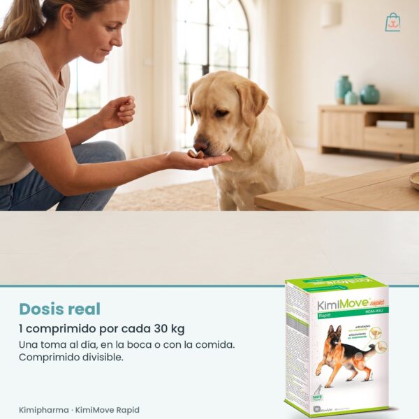 Dosis real de Kimipharma KimiMove Rapid: 1 comprimido por cada 30 kg