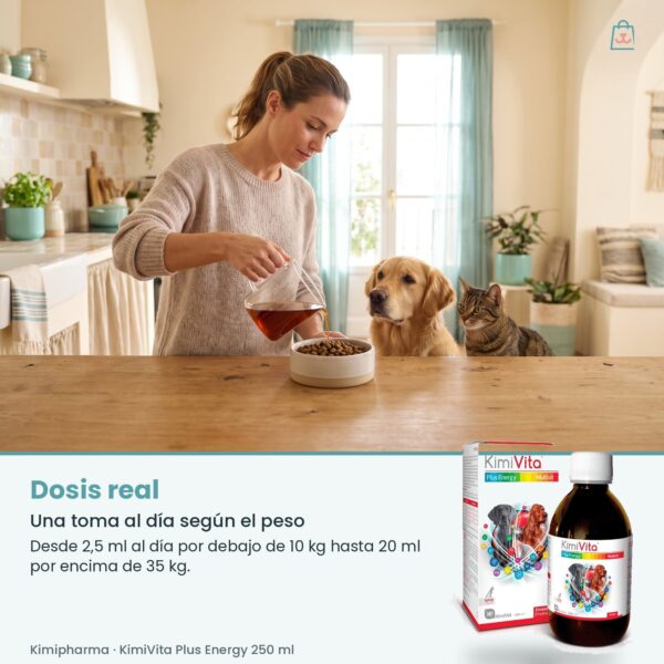 Dosis real de Kimipharma KimiVita Plus Energy 250 ml: Una toma al día según el peso
