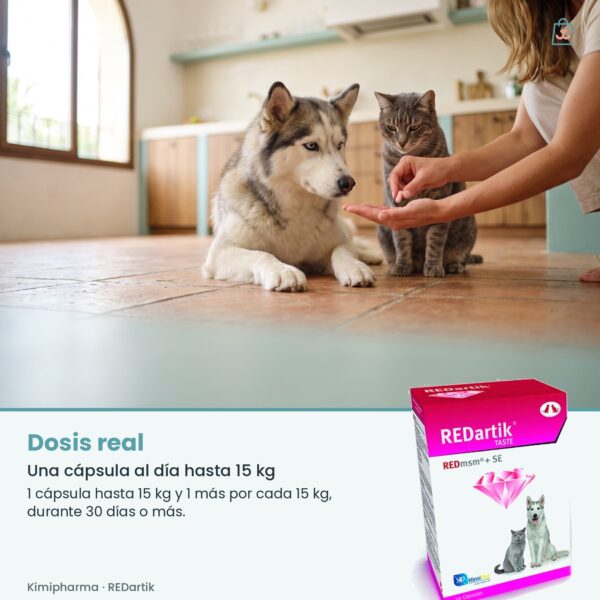 Dosis real de Kimipharma REDartik: Una cápsula al día hasta 15 kg