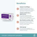 Beneficios de Arthrobon para las articulaciones del perro