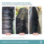 Resultados de Nutriderm EQ en la piel del caballo a los días 1, 10 y 20