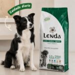 Border collie junto al saco de pienso Lenda Cordero