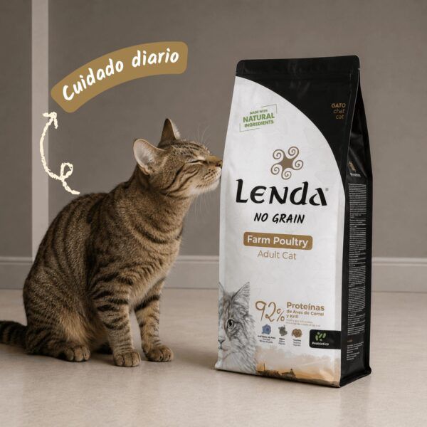 Gato atigrado oliendo el saco de pienso Lenda Farm Poultry