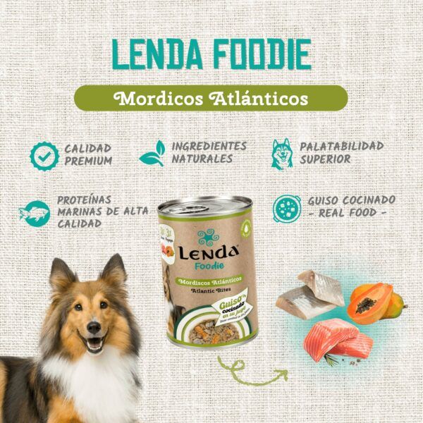 Perro collie junto a una lata de guiso Lenda Foodie Mordiscos Atlánticos