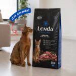 Gato junto al saco de pienso Lenda Grain Free Cerdo
