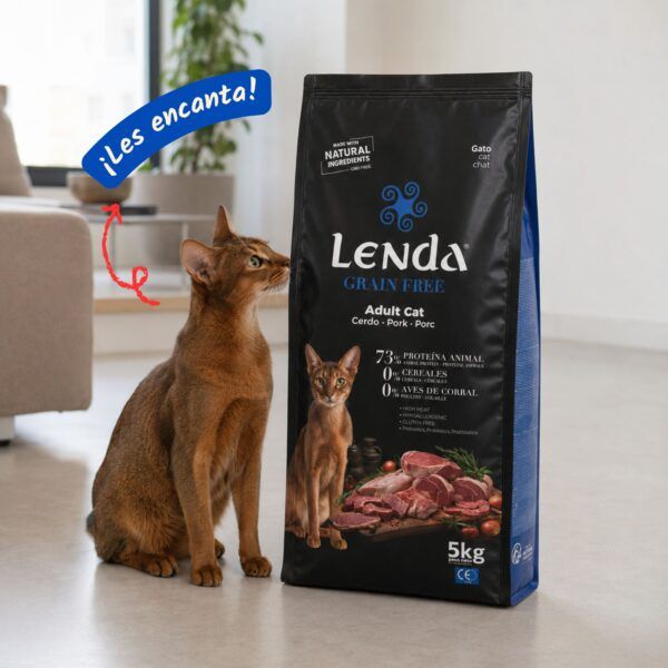 Gato junto al saco de pienso Lenda Grain Free Cerdo