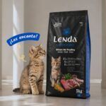 Gatito junto al saco de Lenda Grain Free Kitten