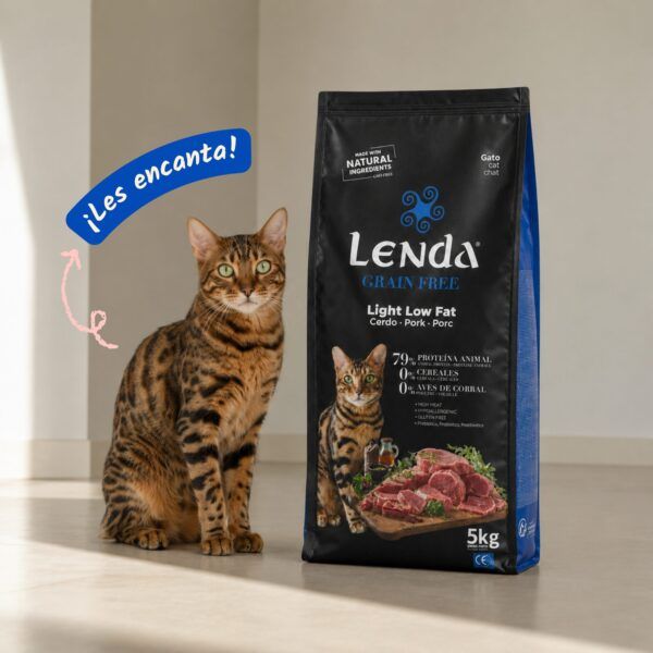 Gato junto al saco de pienso Lenda Grain Free Light Low Fat