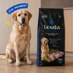 Perro senior junto al saco de Lenda Grain Free Light y Senior