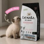 Gatito junto al saco de pienso Lenda Kitten Aves y Pescado