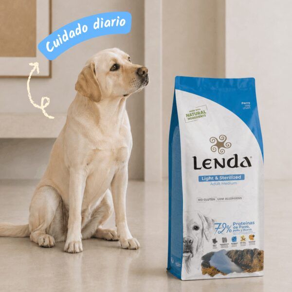 Labrador junto al saco de pienso Lenda Light & Sterilized