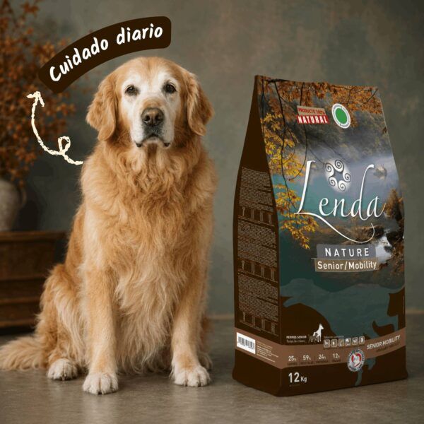 Golden retriever senior junto al saco de Lenda Nature Senior Mobility