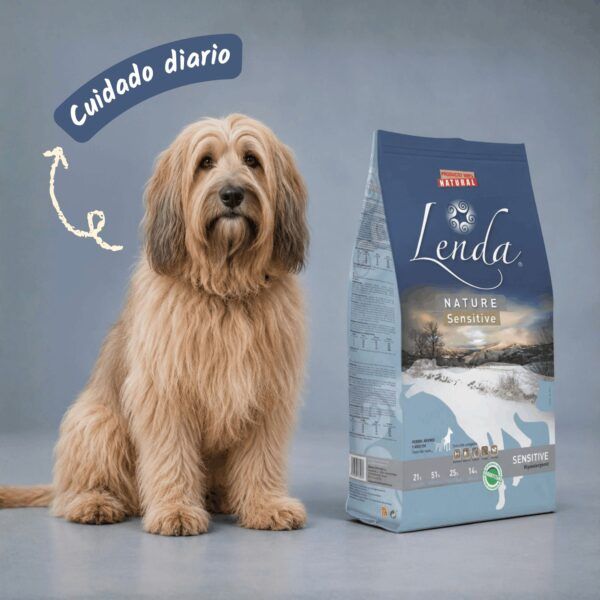 Perro de pelo largo junto al saco de Lenda Nature Sensitive