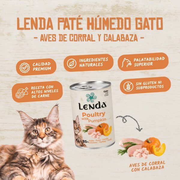 Gato maine coon junto a una lata de paté Lenda de aves de corral y calabaza