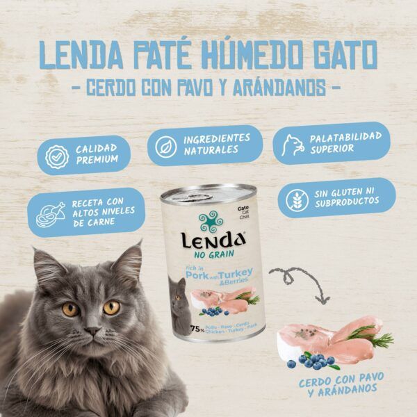 Gato gris junto a una lata de paté Lenda No Grain de cerdo con pavo y arándanos