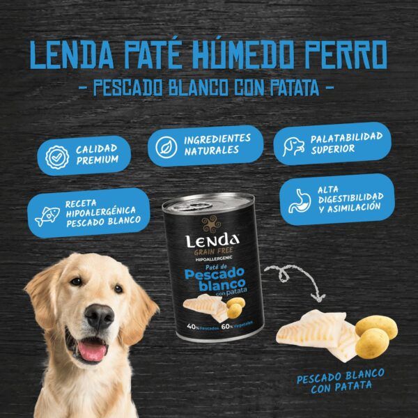 Perro golden retriever junto a una lata de paté Lenda de pescado blanco