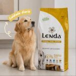 Golden retriever junto al saco de pienso Lenda Pollo