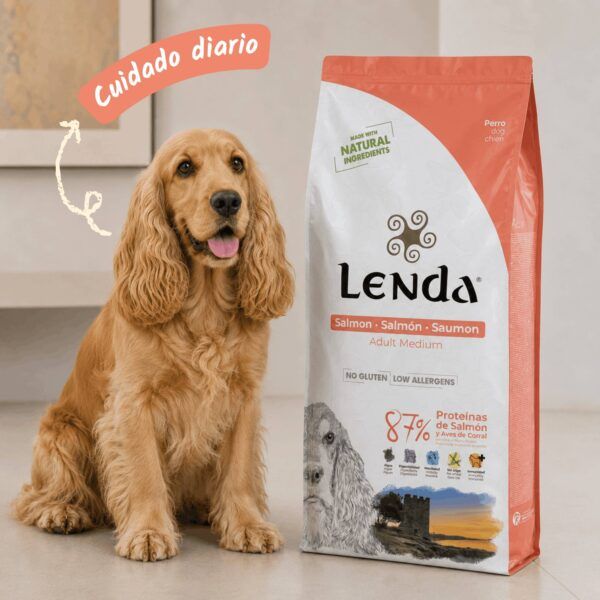 Cocker spaniel junto al saco de pienso Lenda Salmón