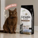 Gato senior sentado junto al saco de pienso Lenda Urinary & Sterilized