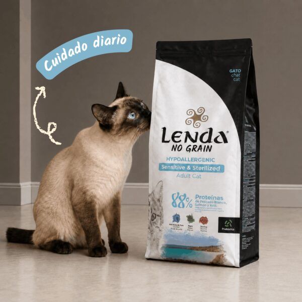 Gato siamés oliendo el saco de pienso Lenda Sensitive & Sterilized