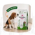 Lenda Urban Meadow Taste Cordero Pienso Para Perros Mini y Raza Mediana