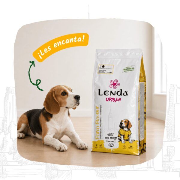 Perro junto al saco de Lenda Urban Farm Flavour Pollo, pienso natural sin trigo
